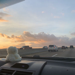 Meet your Posher, Dana